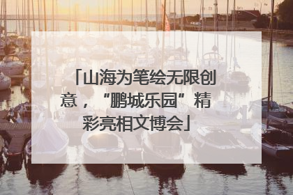 山海为笔绘无限创意，“鹏城乐园”精彩亮相文博会